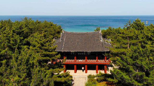 울창한 소나무 숲과 동해를 품은 관동팔경 중 하나인 울진 월송정 전경 사진울진군