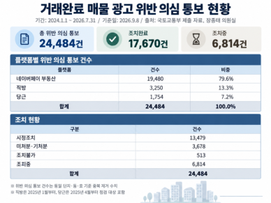부동산 허위매물 의심 2.4만건…네이버 80% 차지