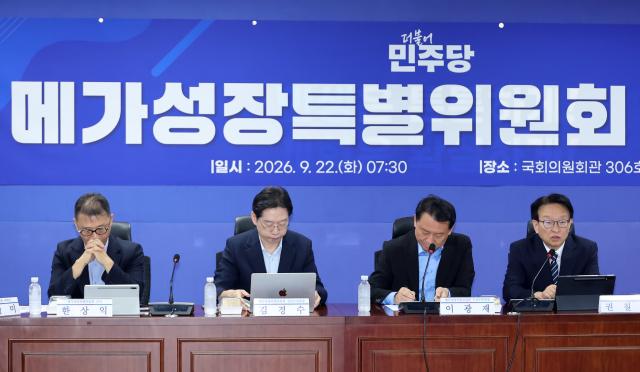 Comité Especial de Megacrecimiento del Partido Demócrata enfatiza el desarrollo equilibrado regional como clave del éxito del gobierno de Lee