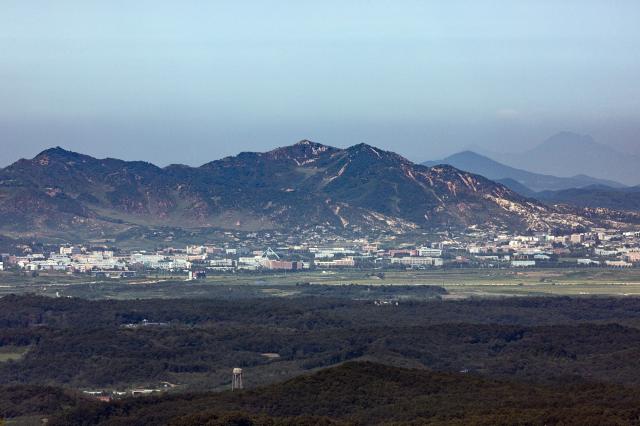 DMZ 지뢰폭발, 北 소행 땐 軍 대응은…목함지뢰 당시엔 확성기 재개
