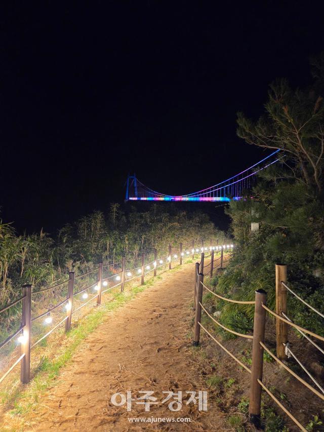 탐방로에 조명이 켜진 가운데 멀리 연도교가 밤하늘을 배경으로 빛나고 있다 사진안경호 기자