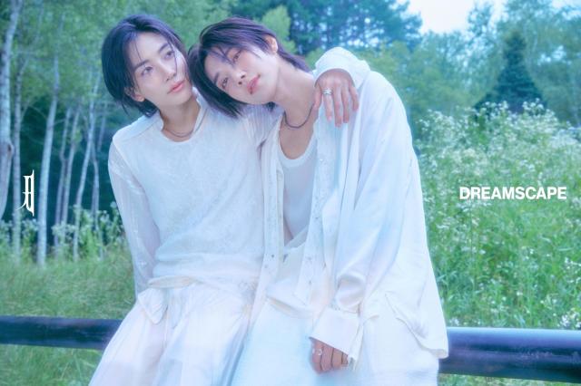 사진플레디스