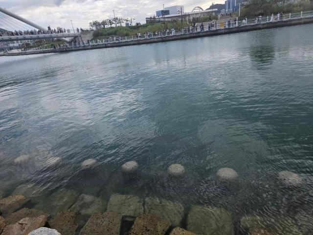 Crowds are gathered around the waterfront of Busan North Port’s waterfront park AJP Joonha Yoo