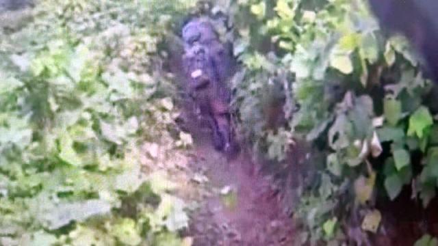 DMZ blast mystery: Why troops entered a mine area