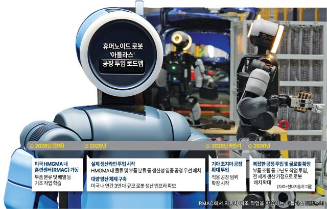 그래픽그래픽팀