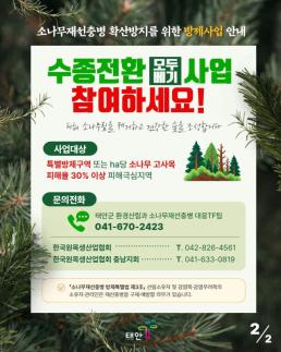 태안군, 재선충병 감염목 3만 7000그루…피해 산림 수종전환 추진