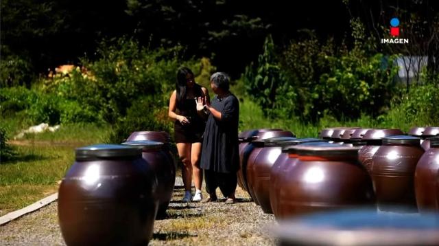 A scene featuring traditional Korean earthenware jars appears in Imagen Televisións documentary The Bet That Changed Korea which examines how Korean traditions have developed alongside modern culture and industry Courtesy of the Ministry of Culture Sports and Tourism