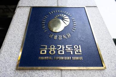 금감원 수석부원장에 내부 승진설…금융위 출신 관행 바뀌나