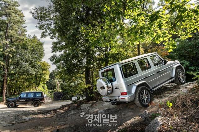 메르세데스-AMG G 63 사진김아령 기자 