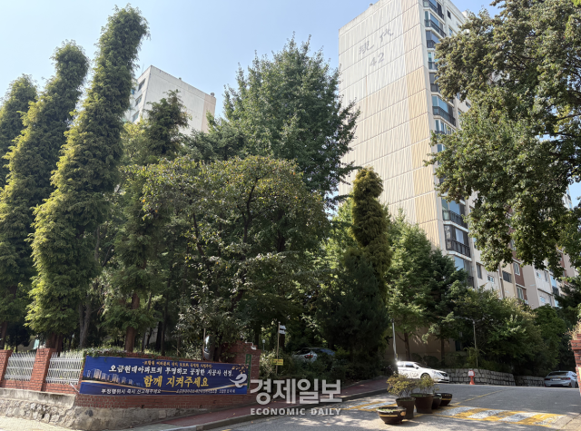 송파구 오금현대아파트 단지 전경 사진우용하 기자