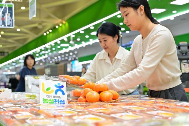 Nonghyup Logistics lanza la venta de caquis de Cheongdo, fruta de temporada para el otoño
