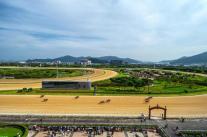 Let’s Run Park Busan-Gyeongnam tổ chức Cuộc đua lớn liên tiếp trong 3 tuần vào tháng 10