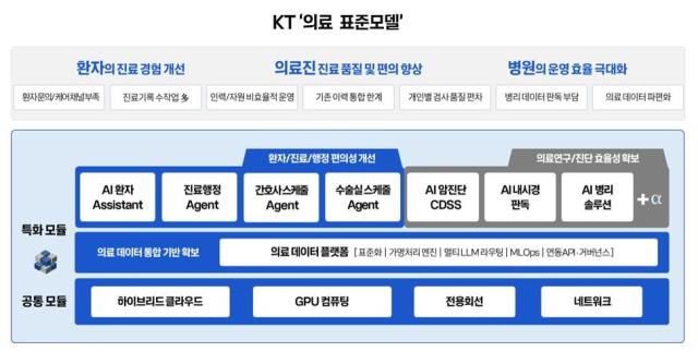 KT의 의료 표준모델 구성도 사진KT