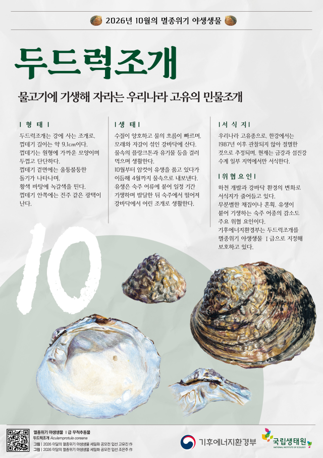 10월의 멸종위기 야생생물 포스터 사진기후에너지환경부