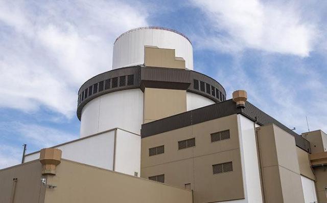 The photo shows Westinghouse AP1000 reactor Courtesy of Westinghouse