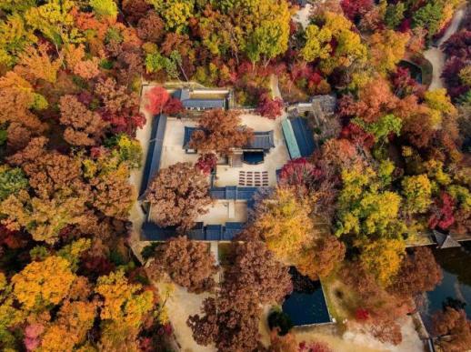 Đọc sách giữa sắc thu tại Cung Changdeokgung, mở cửa đặc biệt thư phòng Seonhyangjae 