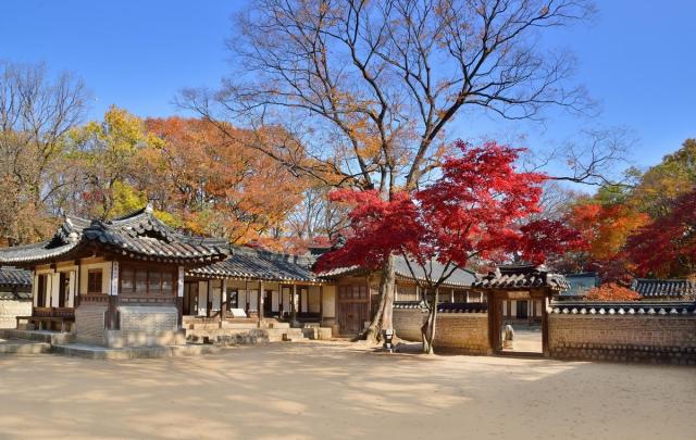 Khu vực Yeongyeongdang trong Hậu viên Cung Changdeokgung
Ảnh Cục Di sản Quốc gia Hàn Quốc cung cấp