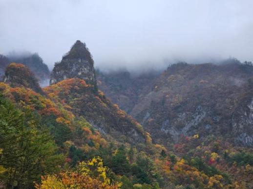삼척 지질유산, 국제학술지 Geoheritage에 오르다