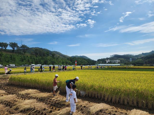 지난해 망상 메뚜기 축제 사진 사진동해시