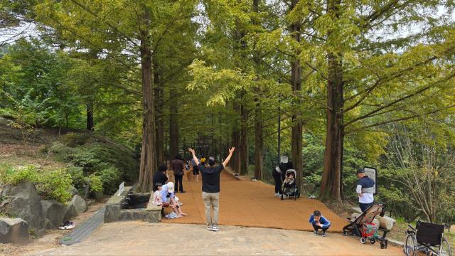 금강수목원_메타길사진충남도