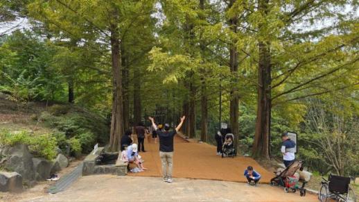 금강수목원 다시 열자 6600명 몰렸다…중부권 숲 명소 부활