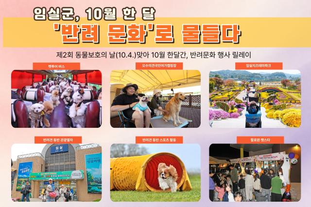 사진임실군