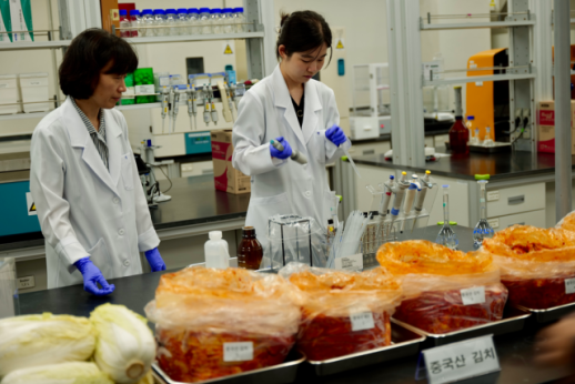 발암 배추 걱정에 중국산 김치 검사했더니…포름알데히드 미검출