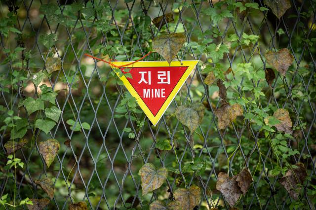 [사진=연합뉴스]