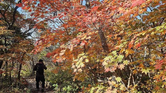 지난달 30일 강원 속초시 설악산국립공원 고지대 일원에 단풍이 물들어 있다 사진연합뉴스