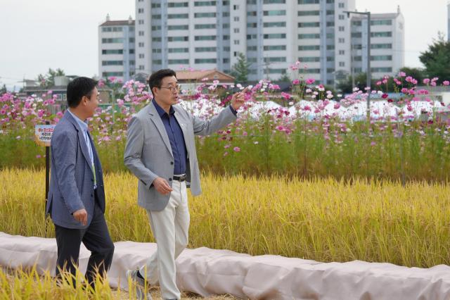 사진평택시