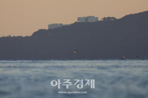 [포토] 누리호 D-1, 새처럼 훨훨 날길