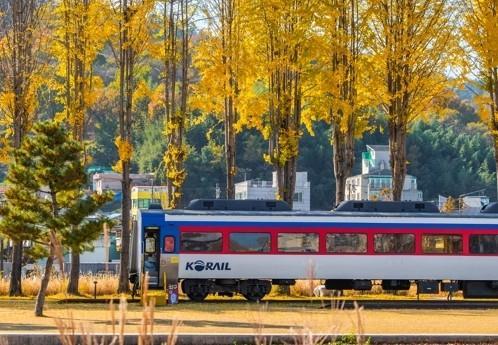 Công viên Văn hóa Đường sắt Jinju

Nguồn Quỹ Du lịch Gyeongsangnamdo