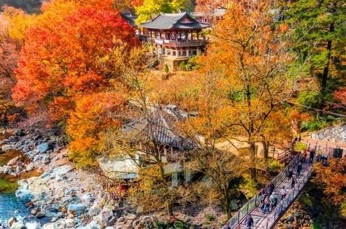 Thung lũng Daewonsa ở Sancheong

Nguồn Quỹ Du lịch Gyeongsangnamdo