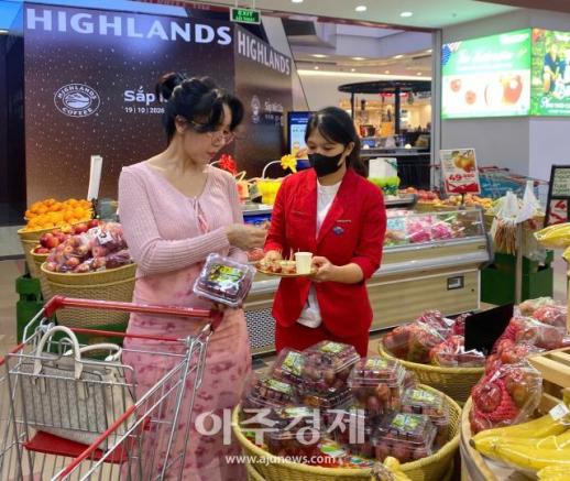 NH농협무역, 국산 신품종 k-레드포도글로리스타로 베트남 시장 공략한다