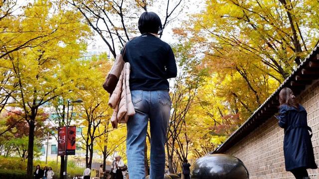 서울 중구 정동길에서 한 시민이 겉옷을 팔에 걸친 채 산책하고 있다 사진연합뉴스