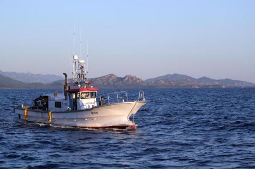 韩中时隔4年重启黄海联合巡查严打非法捕捞