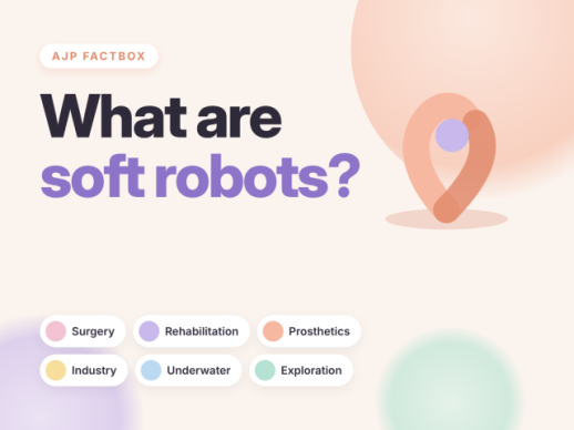 AJP Factbox: What are soft robots?