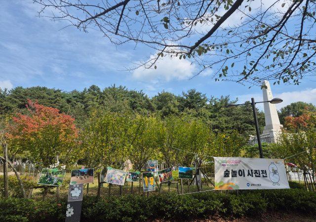 만들기 체험은 오전 10시부터 낮 12시 오후 1시부터 4시까지 현장 등록으로 참여할수 있다사진김해시