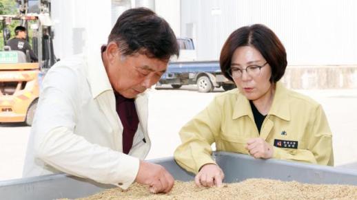 김보라 안성시장 수확 결실 안정적으로...양성·안성마춤농협 수매 점검