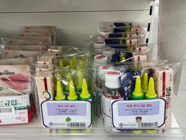 사진이효정 기자
