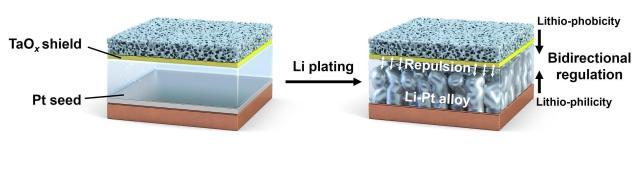 Two coatings curb dendrites in anode-free batteries