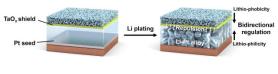 Two coatings curb dendrites in anode-free batteries