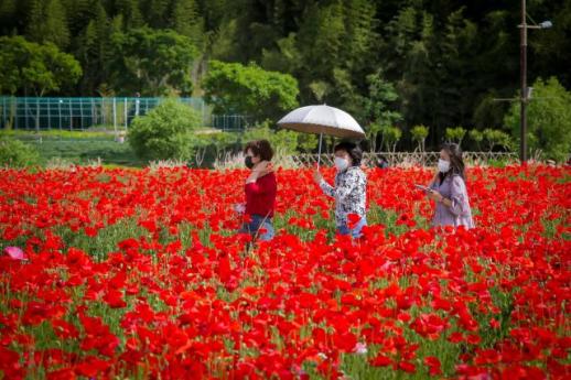 [기획-다시 짜는 울산국제정원박람회·下] 박람회 이후도 중요하다…울산에 무엇을 남길까