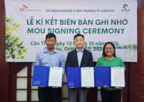 SK Innovation mở rộng dự án phục hồi rừng ngập mặn tại Việt Nam