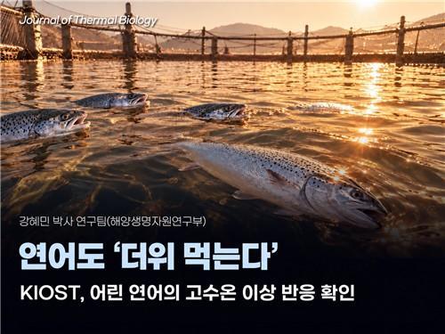 연어 연구성과 이미지 사진한국해양과학기술원