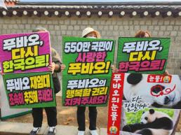 푸바오 다시 데려와라…청와대 앞에서 시위