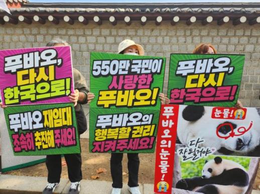 푸바오 다시 데려와라…청와대 앞에서 시위