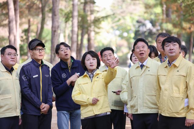 지난 9일 오전 남이섬을 방문한 추미애 경기도지사가 소나무재선충병 방제관련 방제 현장 확인을 하고있다 사진경기도