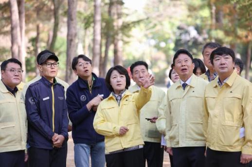 추미애 지사, 지원 약속한 가평 재선충병 특별방제구역 29일 지정