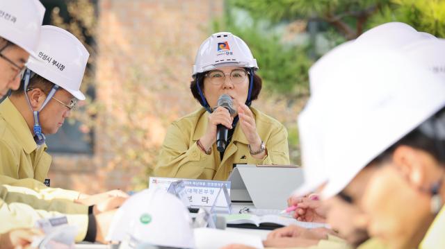 사진안성시